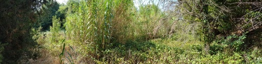Foto Appartamento a Santa Luce di 95 m² con 3 locali in vendita