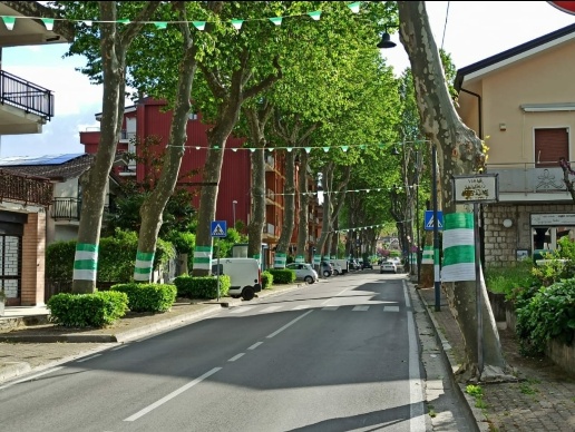 immagine annuncio 10 di 12