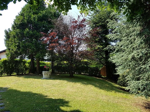 immagine annuncio 10 di 14