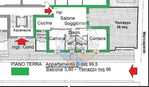 immagine annuncio 2 di 5