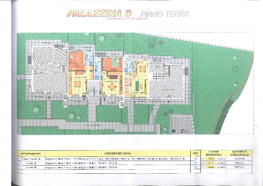 immagine annuncio 11 di 13