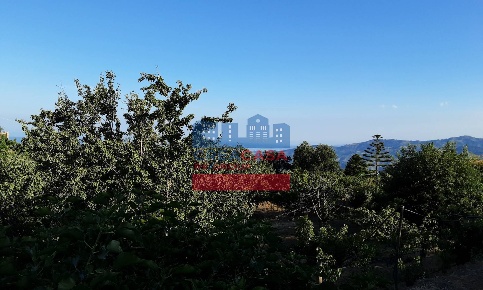 Foto Villa unifamiliare in muscianò, Graniti di 55 m² con 3 locali