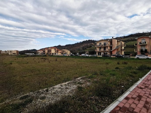 immagine annuncio 5 di 11