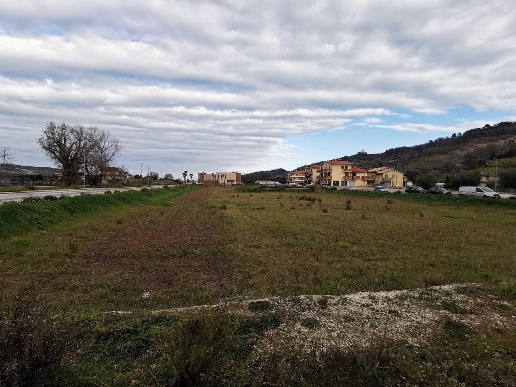 immagine annuncio 6 di 11