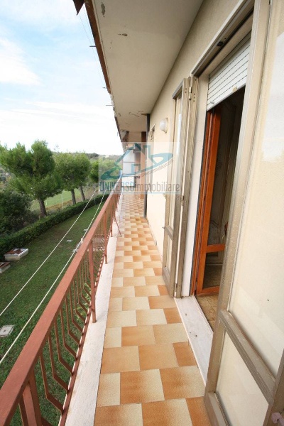 immagine annuncio 10 di 14