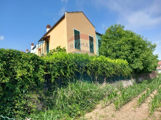 immagine annuncio 2 di 14