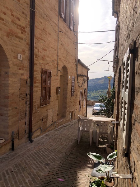 immagine annuncio 12 di 13