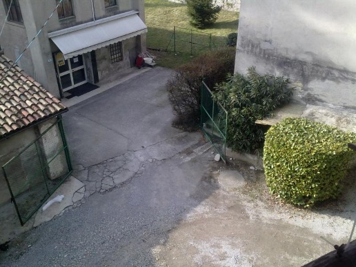 immagine annuncio 3 di 14