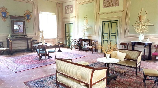 immagine annuncio 12 di 15