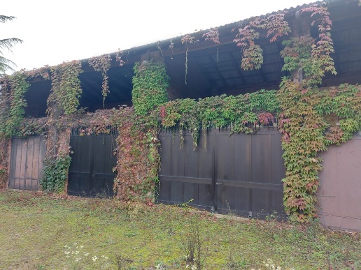 immagine annuncio 1 di 4