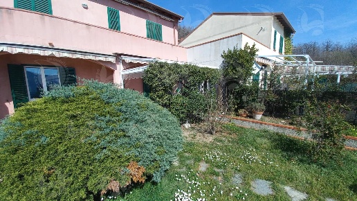 immagine annuncio 3 di 14