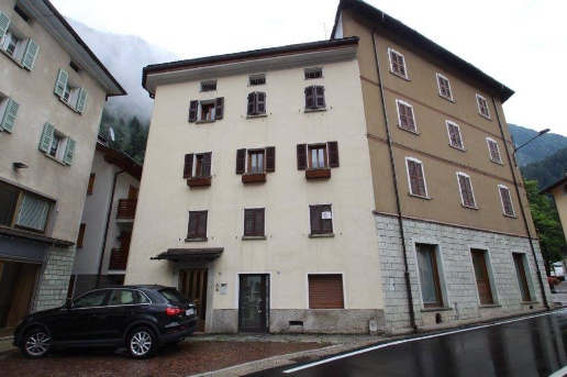 immagine annuncio 1 di 12