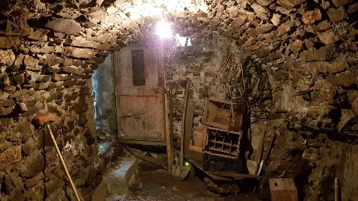 immagine annuncio 12 di 14