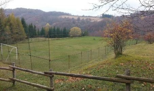 immagine annuncio 2 di 14