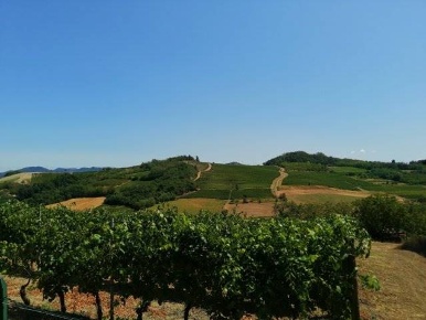 Foto Villa unifamiliare a Berzano di Tortona Inselmina di 160 m² in vendita