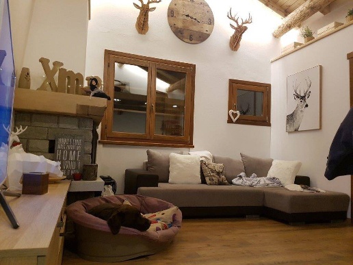 immagine annuncio 4 di 11