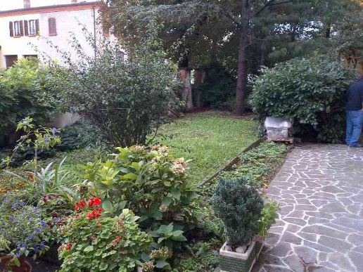 immagine annuncio 12 di 14
