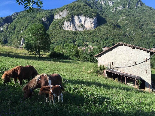 immagine annuncio 8 di 12