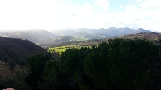 immagine annuncio 7 di 8