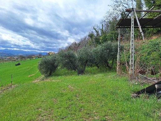 immagine annuncio 6 di 11