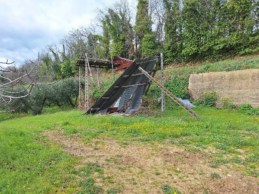 immagine annuncio 7 di 11