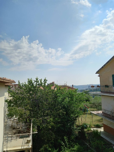 immagine annuncio 5 di 11