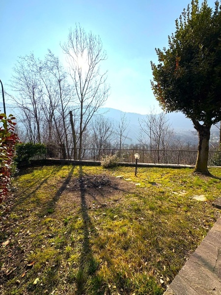 immagine annuncio 2 di 6