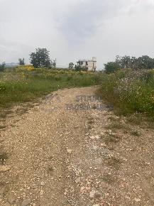 Foto Villa singola in via civezza, Civezza di 300 m² con 10 locali