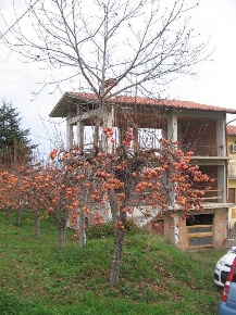 Foto Villa a schiera a San Martino sulla Marrucina di 200 m² con 6 locali