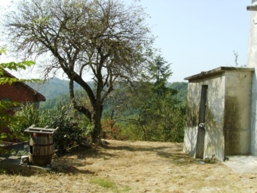 immagine annuncio 2 di 6