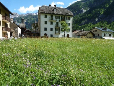 Foto Appartamento in Via Frazione Chiesa -, Formazza in vendita