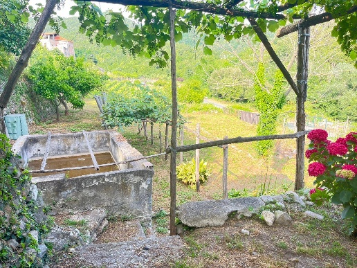 immagine annuncio 1 di 14