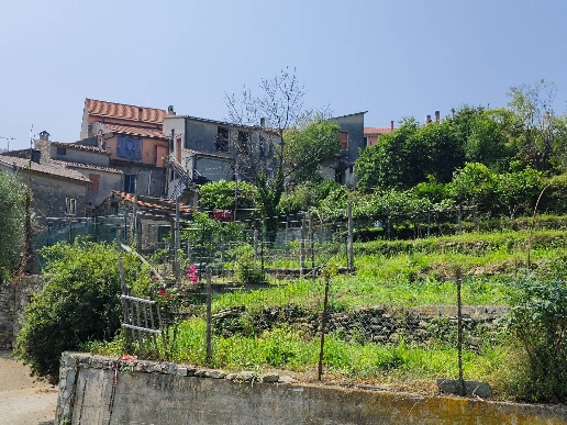 immagine annuncio 6 di 14