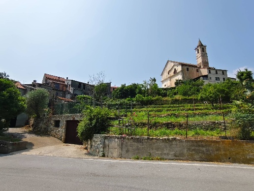 immagine annuncio 7 di 14