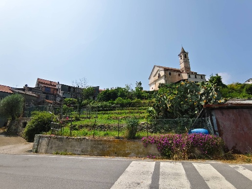 immagine annuncio 8 di 14