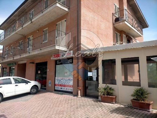 immagine annuncio 3 di 6