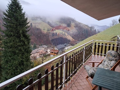Foto Appartamento in Via Alben, Oneta Scullera di 59 m² con 3 locali