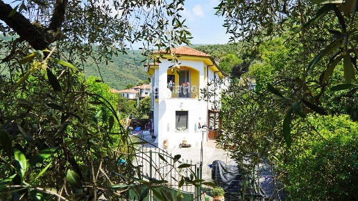 immagine annuncio 5 di 9