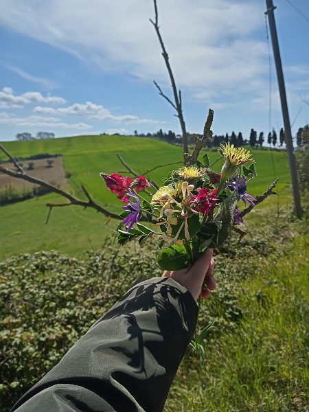 immagine annuncio 8 di 14