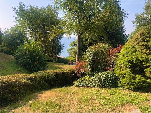 immagine annuncio 8 di 12