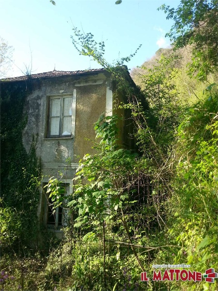 immagine annuncio 3 di 7