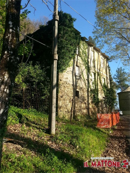 immagine annuncio 6 di 7