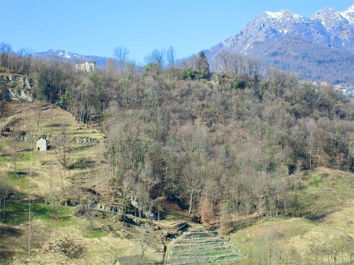 immagine annuncio 2 di 14