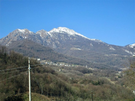 immagine annuncio 3 di 14