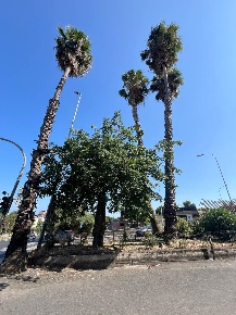 Foto Appartamento in VIA PASSO GRAVINA  183/A, Catania di 105 m² in vendita