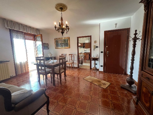 immagine annuncio 0 di 15