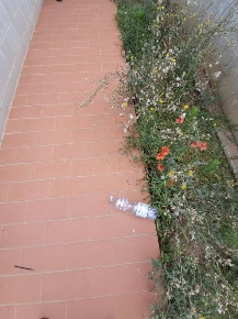 Foto Appartamento a Terricciola La Rosa di 97 m² con 4 locali in vendita