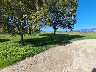 Foto Casa indipendente a Crespina Lorenzana di 323 m² con 6 locali