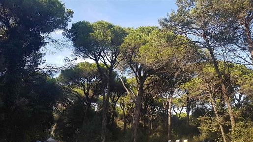 Foto Appartamento a Pisa Pietrasantina di 120 m² con 5 locali in affitto