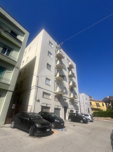 immagine annuncio 11 di 12